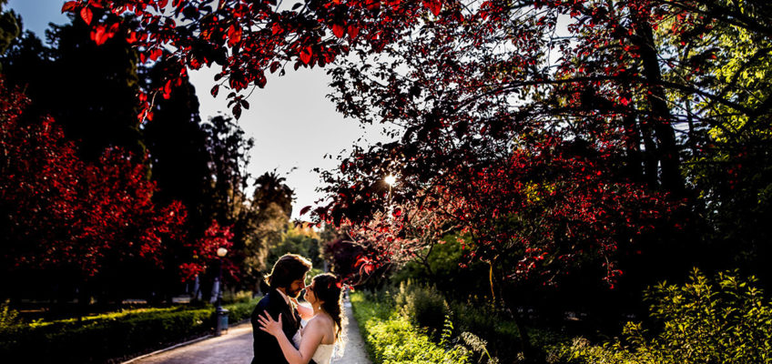 The Wedding Day in Palermo | Salvo & Mirella |