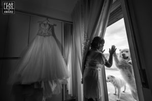 1 Pasquale Minniti Fearless Award Wedding Photographer