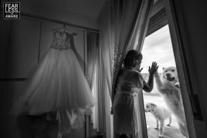 38 Pasquale Minniti Fearless Award Wedding Photographer