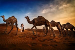 10 Pasquale Minniti Fearless Award Wedding Photographer